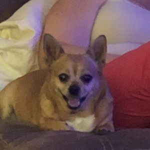 Meet your Posher, Steven